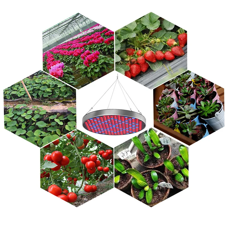 IOPEN UFO Полноспектральная светодиодная растительная лампа мощностью 50 Вт для выращивания растений внутри помещения, цветов, сеянцев, фитолампа для теплицы и шатра.