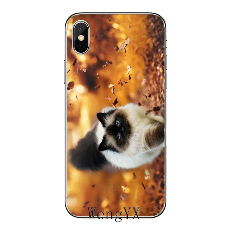 Pet ragdoll кошка синие глаза для huawei mate 20 10 9 P30 P20 P10 P9 pro Lite P Smart plus аксессуары чехол для телефона - Цвет: cat-blue-eyes-B-03