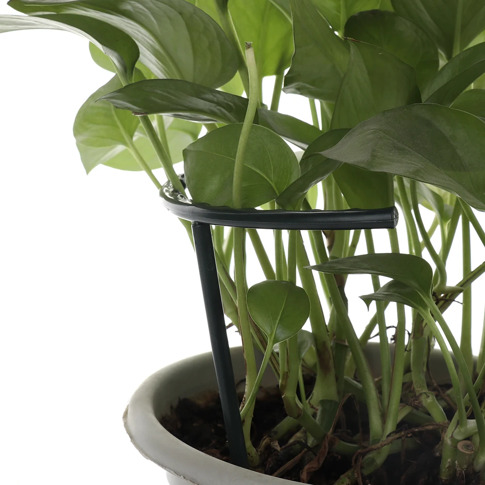 6pcs Arcuated DIY Plastic Plant Support Frame Pot Bracket shelf Climbing Flower Fixed Garden Vines Fastener | Дом и сад