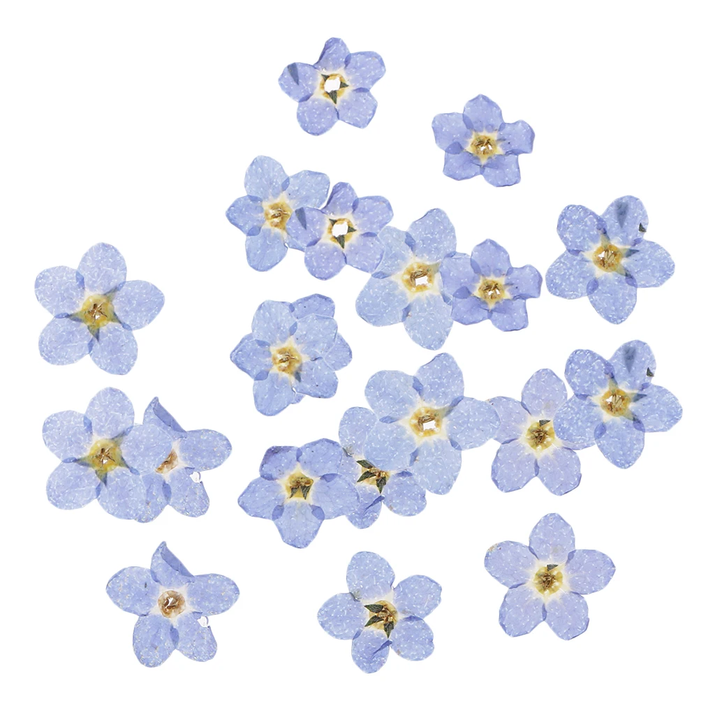 

Real Dried Pressed Flowers,Assorted Blue Natural Dried Flowers for Art Craft DIY Resin Home Party Decorations
