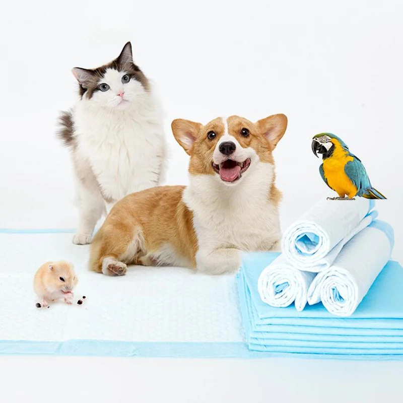 Маленькие подгузники для домашних животных гигиенические дезодоранты бумага