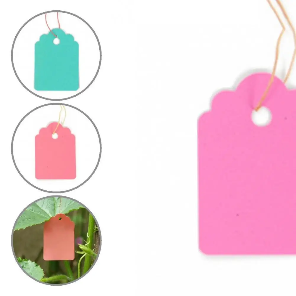 

Пластиковые яркие бирки для садовых растений для дома, широкое применение