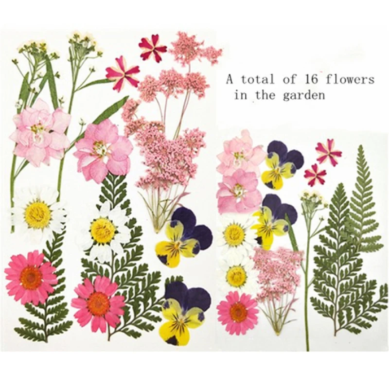 Настоящий цветок прессованный сетчатая красная наклейка на углы глаз лепесток