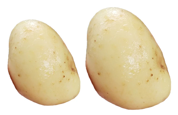 

Automatic potato carrot cleaning washing tapioca yuca cassava peeling machine #Ghana