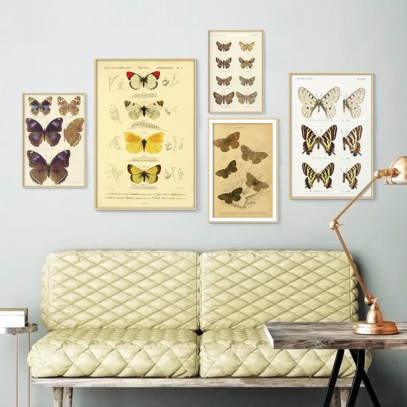 

Butterfly Insect Vintage Poster Papillons Print Canvas Painting Biology Education Wall Art Picture Modern Study Room Decoration