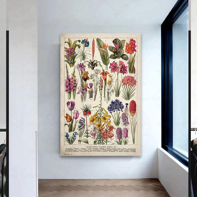 Винтажный постер с дикими растениями ботанический цветок обучение гостиная