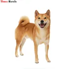 Три Ratels FTC-709 # ПВХ Акита оконная стена Спальня наклейка на автомобиль наклейка