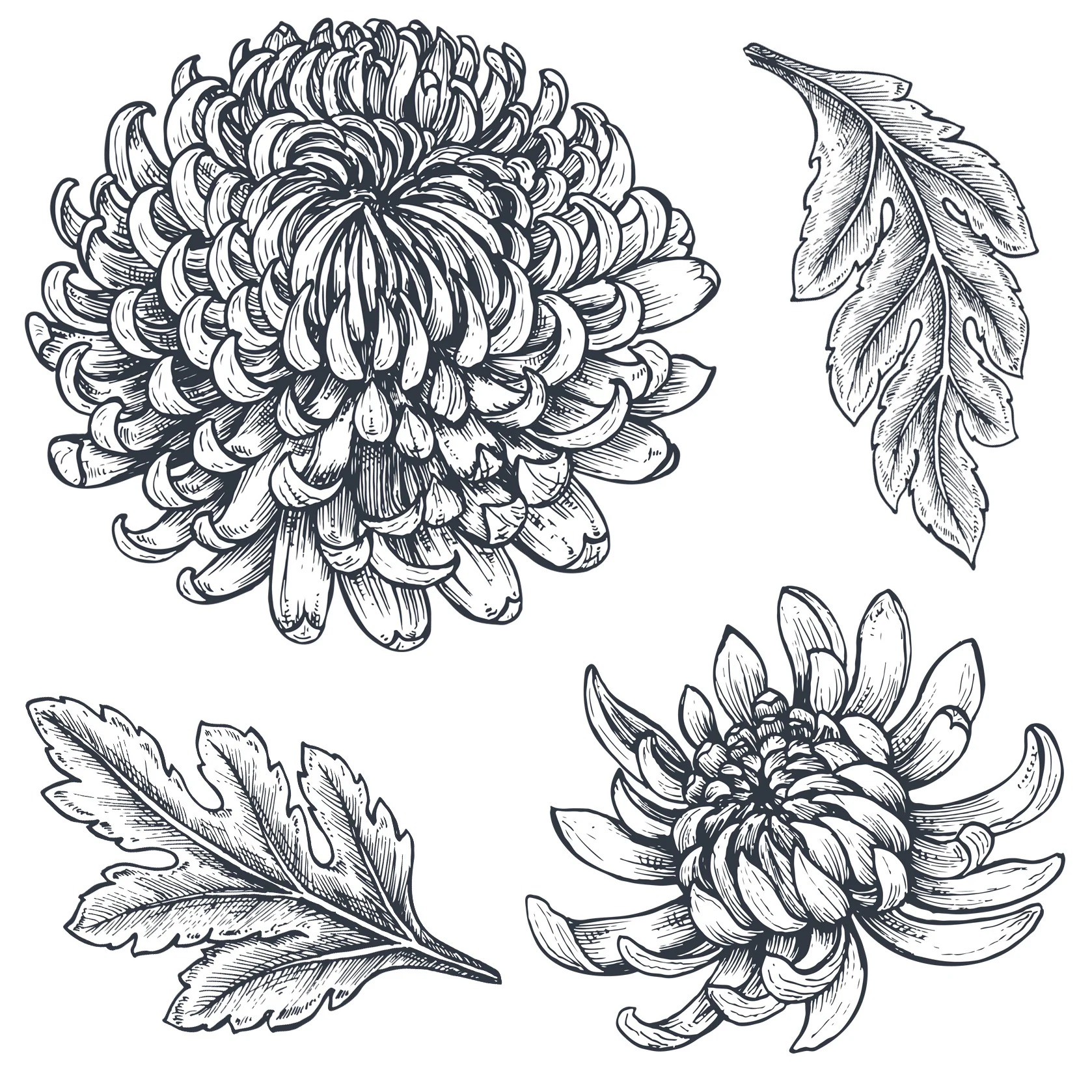 Прозрачный штамп с цветущими хризантемами для скрапбукинга/создания