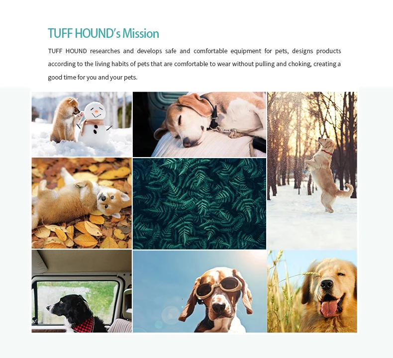 Поводок и поводок для собак TUFFHOUND, нейлоновый быстросъемный ошейник для бульдога, товары для домашних животных, синий, серый свинец