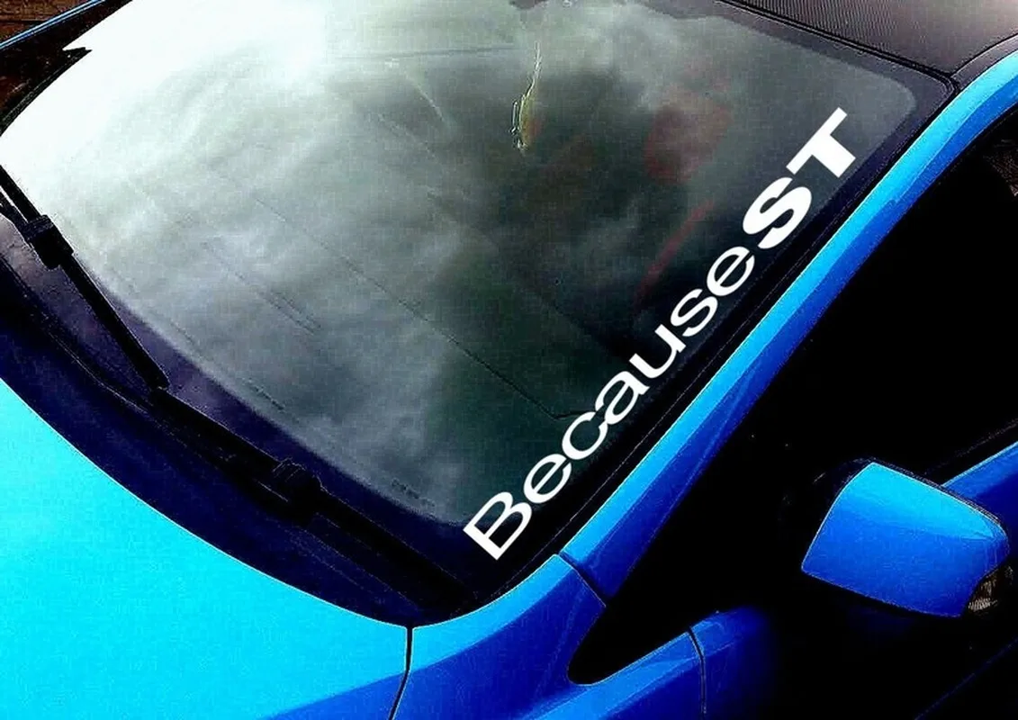 50 см в ширину из-за того что цвет яркий Спортивная Автомобильная виниловая