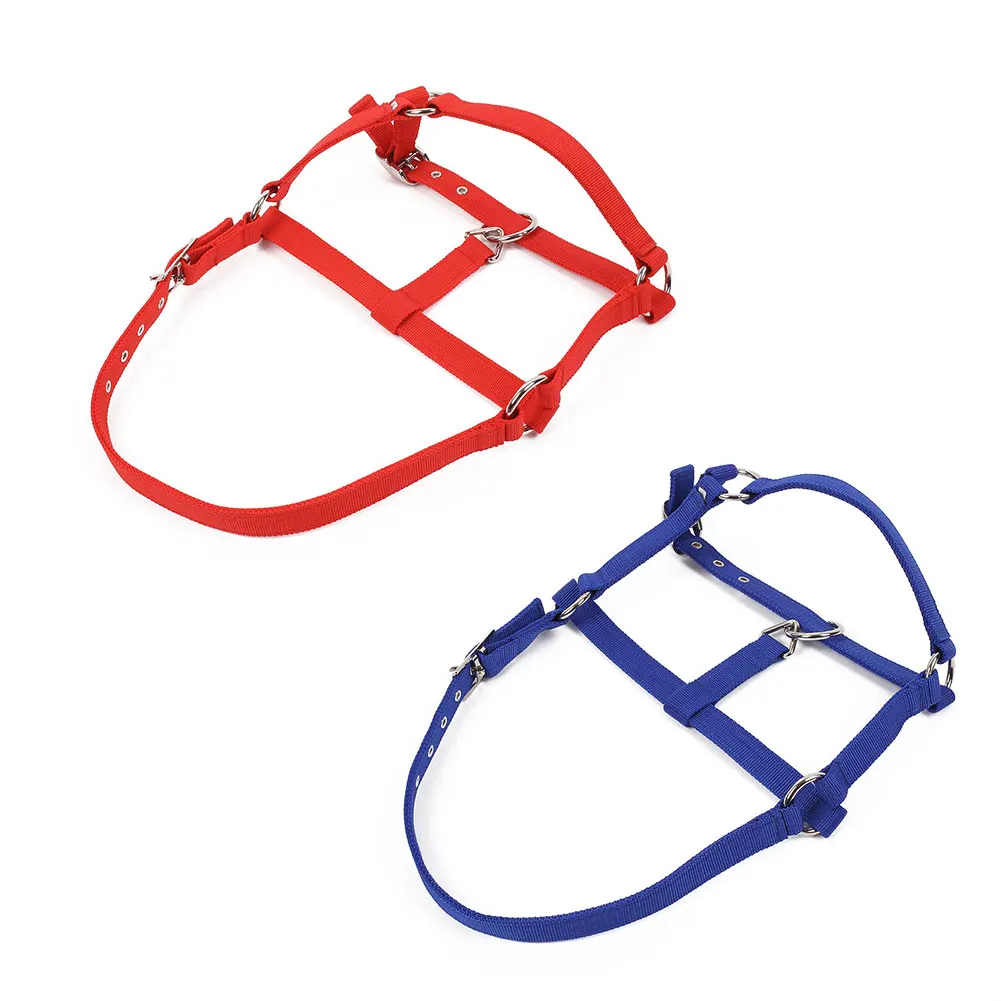 

Horse Riding Belt Bridle Adjustable Halter Headstall Horsing Accessory Red/Blue