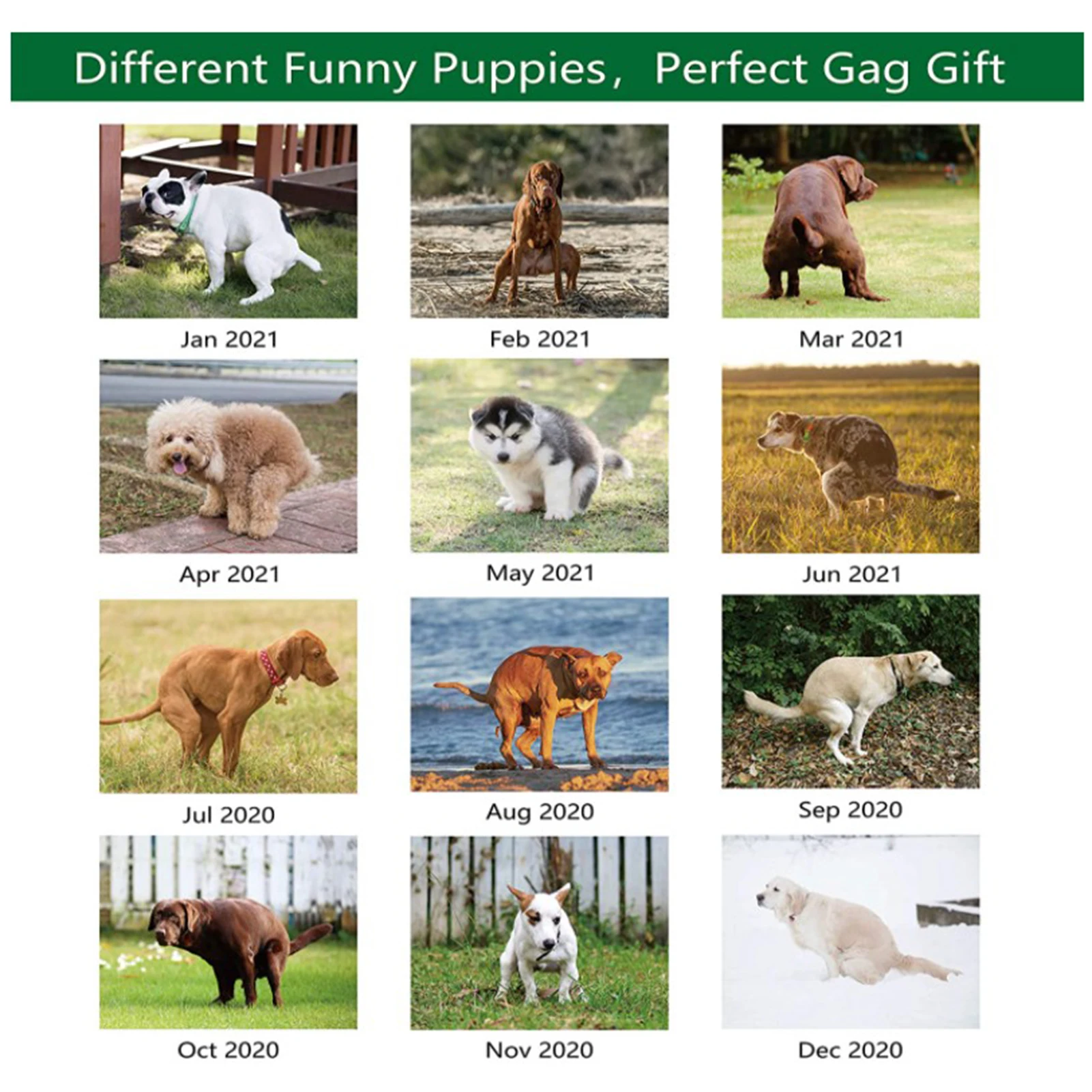 

Gag Gifts 2021 Calendar Pooping Dogs Wall Calendar Funny Gifts Desktop Decoration Calendar Household Products