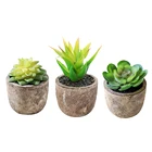Искусственный суккулент мини Поддельные комнатные растения бонсай Творческий Гостиная Спальня Настольный украшения Моделирование цветы, искусственные растения
