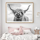 Скандинавский Декор Highland Корова Крупный рогатого скота настенное Искусство Холст плакат и печать животных холст картина для гостиной домашний декор