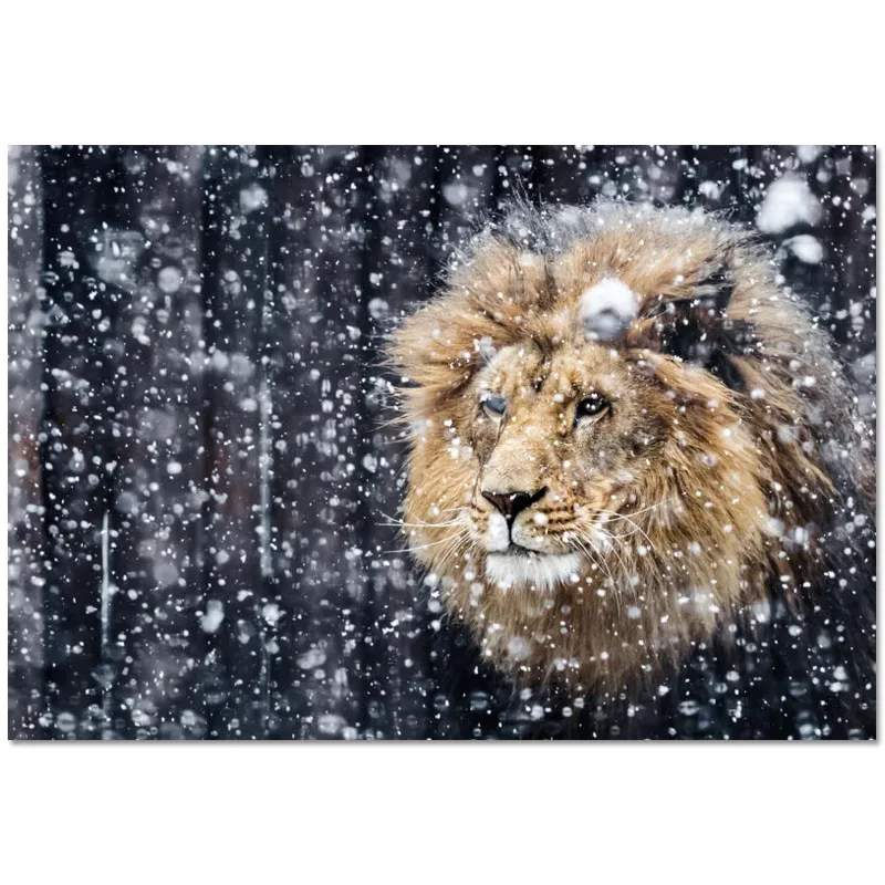 Оригинальная матерчатая Декор Фигурка животного Лев Красочные HD настенная ткань