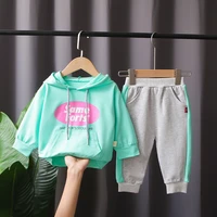 baby girl boutique clothes fashion long sleeved hooded hoodies pants 2pcs childrens infant clothing outfits kids tracksuits