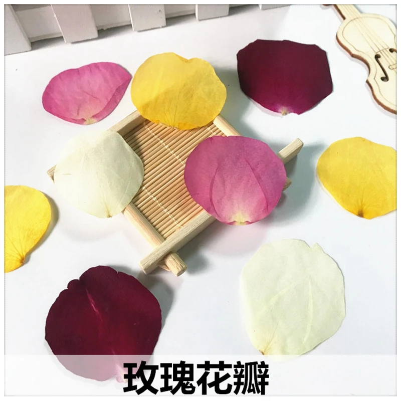 Лепестки роз натуральный цветок образец эпоксидный высушенный рельефный