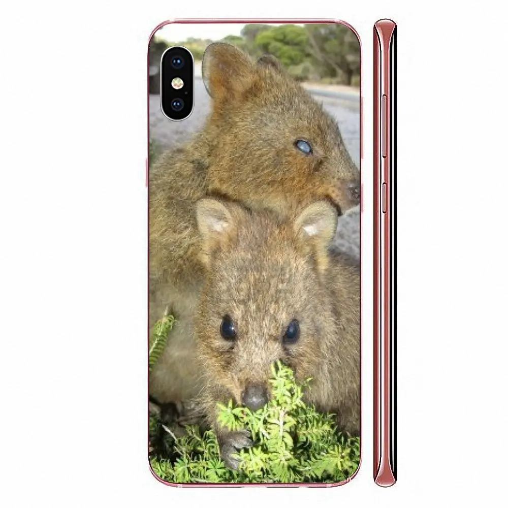 Мягкий чехол для телефона из ТПУ с изображением животных Quokka Xiaomi CC9E Mi3 Mi4 Mi4i Mi5 Mi 5S 6