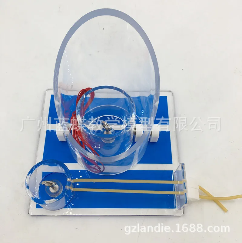 Хирургическая модель для обучения сосудистым узлом хирургическим медицинские