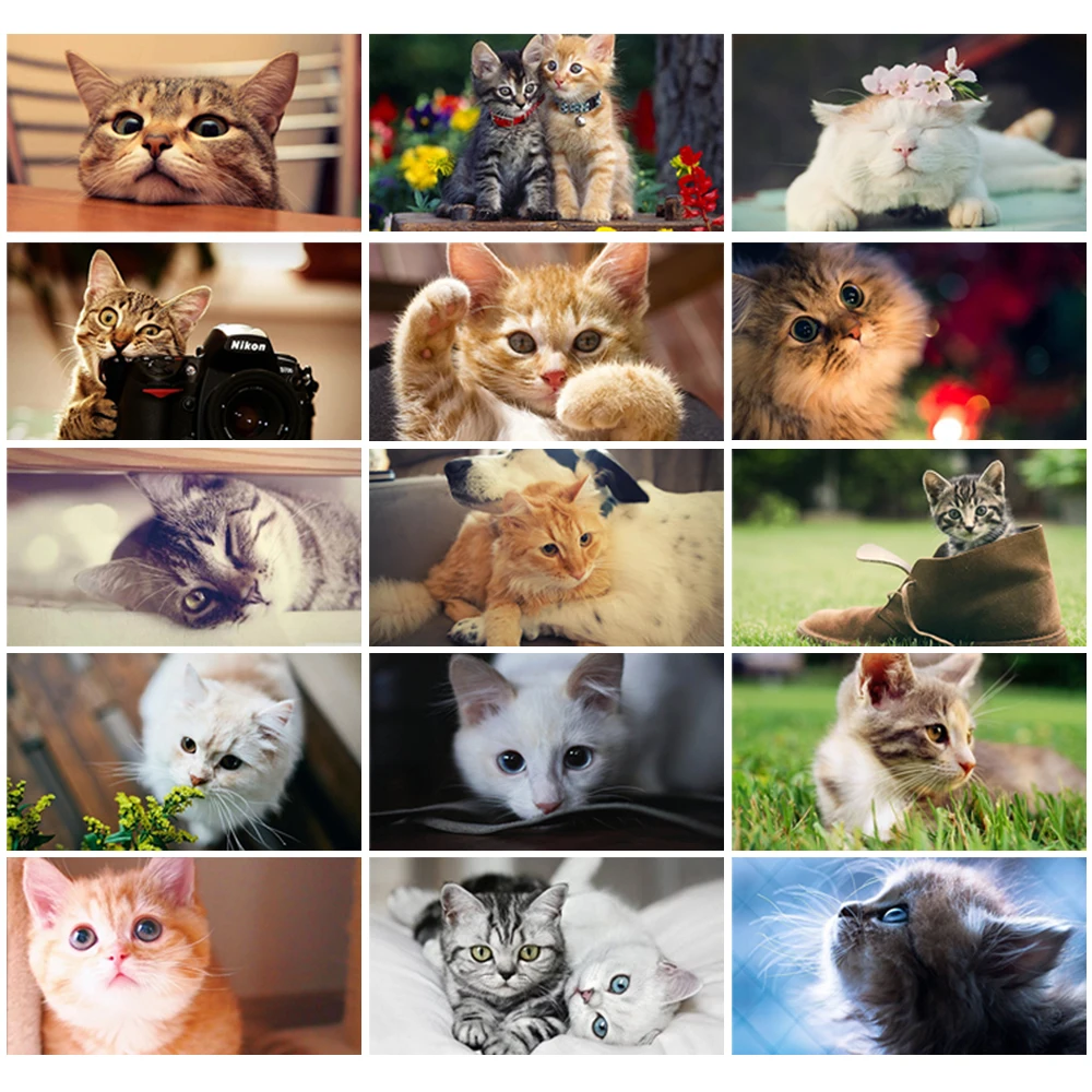 

5D Animal DIY Diamond Painting Cute Cat Diamond Inlaid Embroidery Cute Pet Mosaic Exquisite Three-dimensional Home Decoration