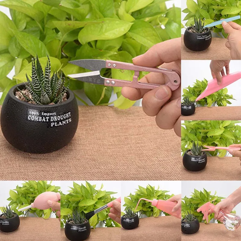 

12PCS Succulent Plants Tool Mini Garden Hand Transplanting Gardening Tool Set Miniature Planting Indoor Bonsai Gardening Kit