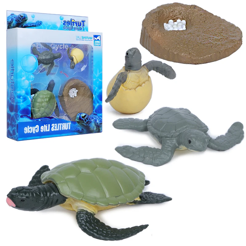 Имитация насекомых-лягушек жизненный цикл комаров модель черепахи муравьев