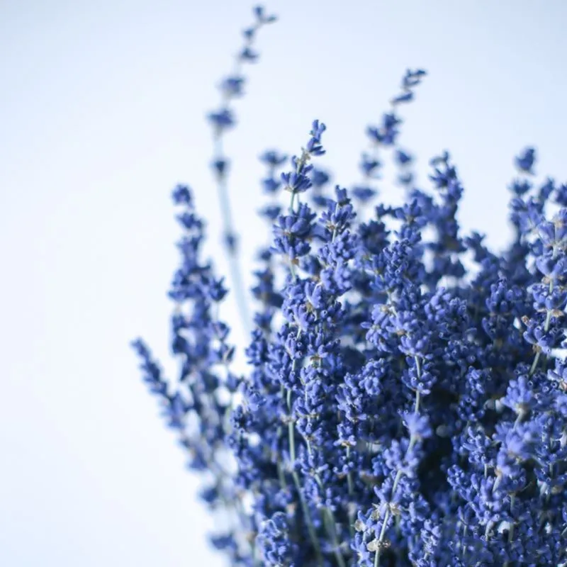 

30-100pcsNatural Real Lavender Dried Flower Bouquet help sleep Wedding Party DIY Sachet Making Garden Living Room Home Decor