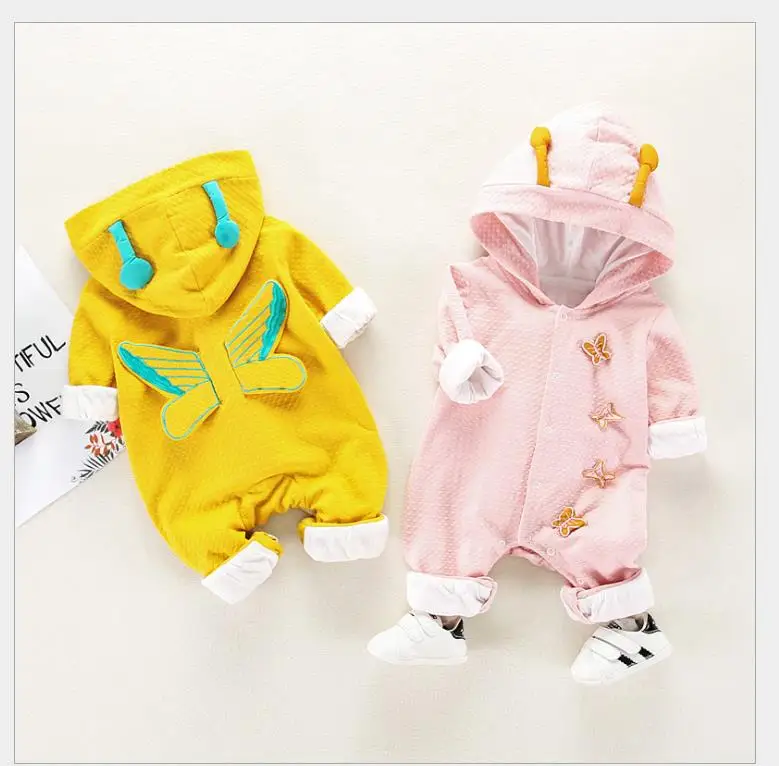 

The girl butterfly has a thicker coat