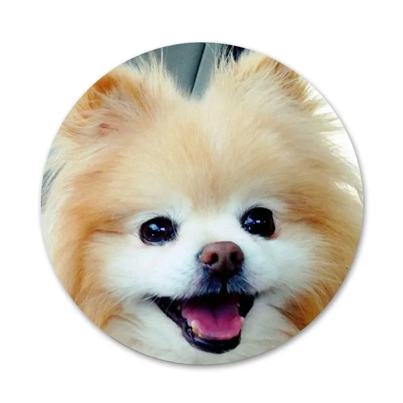 Значки для собак шпильки значки металлические фотографий|Значки| |