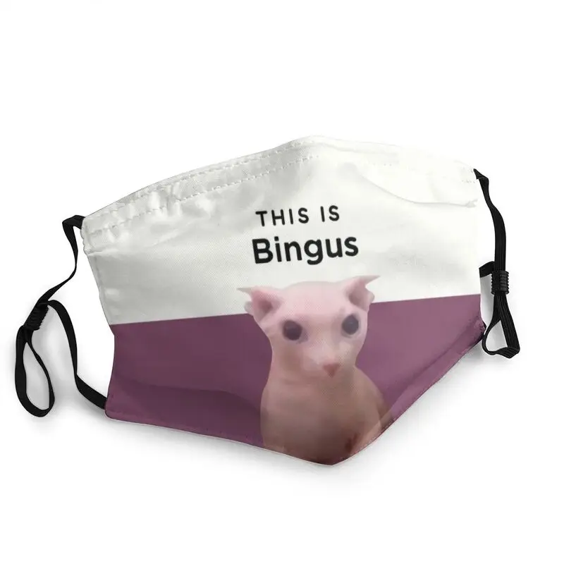 

This Is Bingus Mouth Face Mask Men Dustproof Kawaii Sphynx Cat Mask Protection Cover Non-Disposable Respirator Muffle