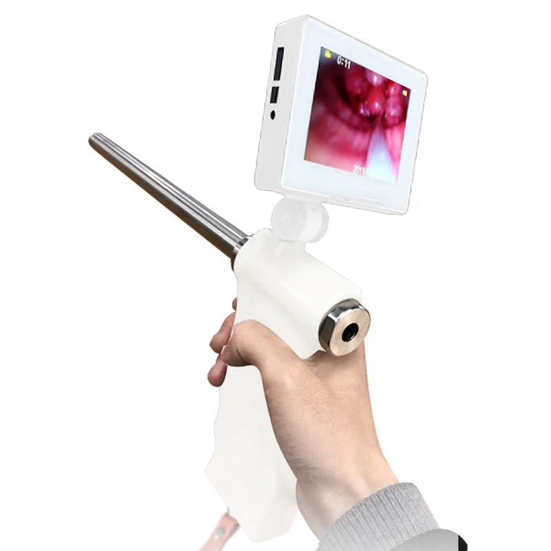 Искусственное осеменение овец ИИ пистолет Vsual эндоскоп сперма ветеринары