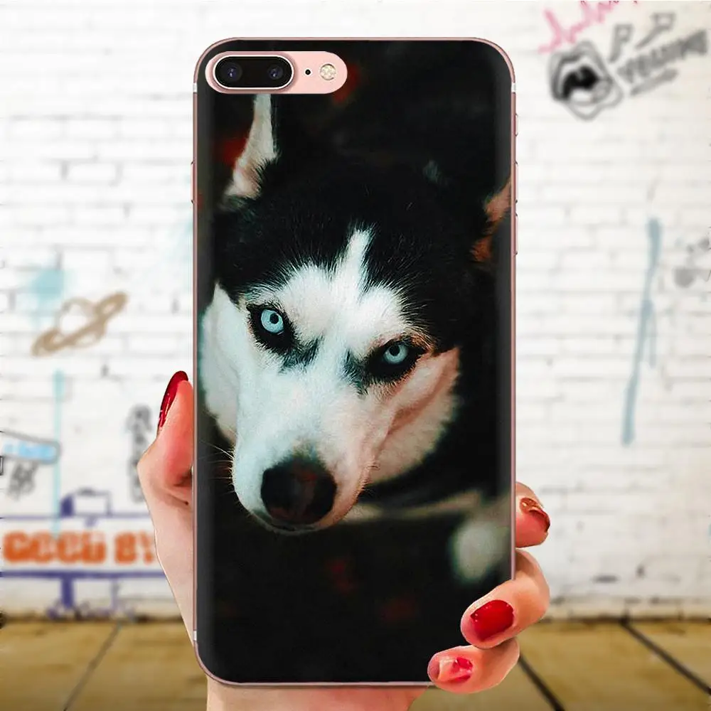 Мягкий чехол из ТПУ для Xiaomi Redmi Mi 4 7A 9T K20 CC9 CC9e Note 7 9 Y3 SE Pro Prime Go Play Puppy Alaskan