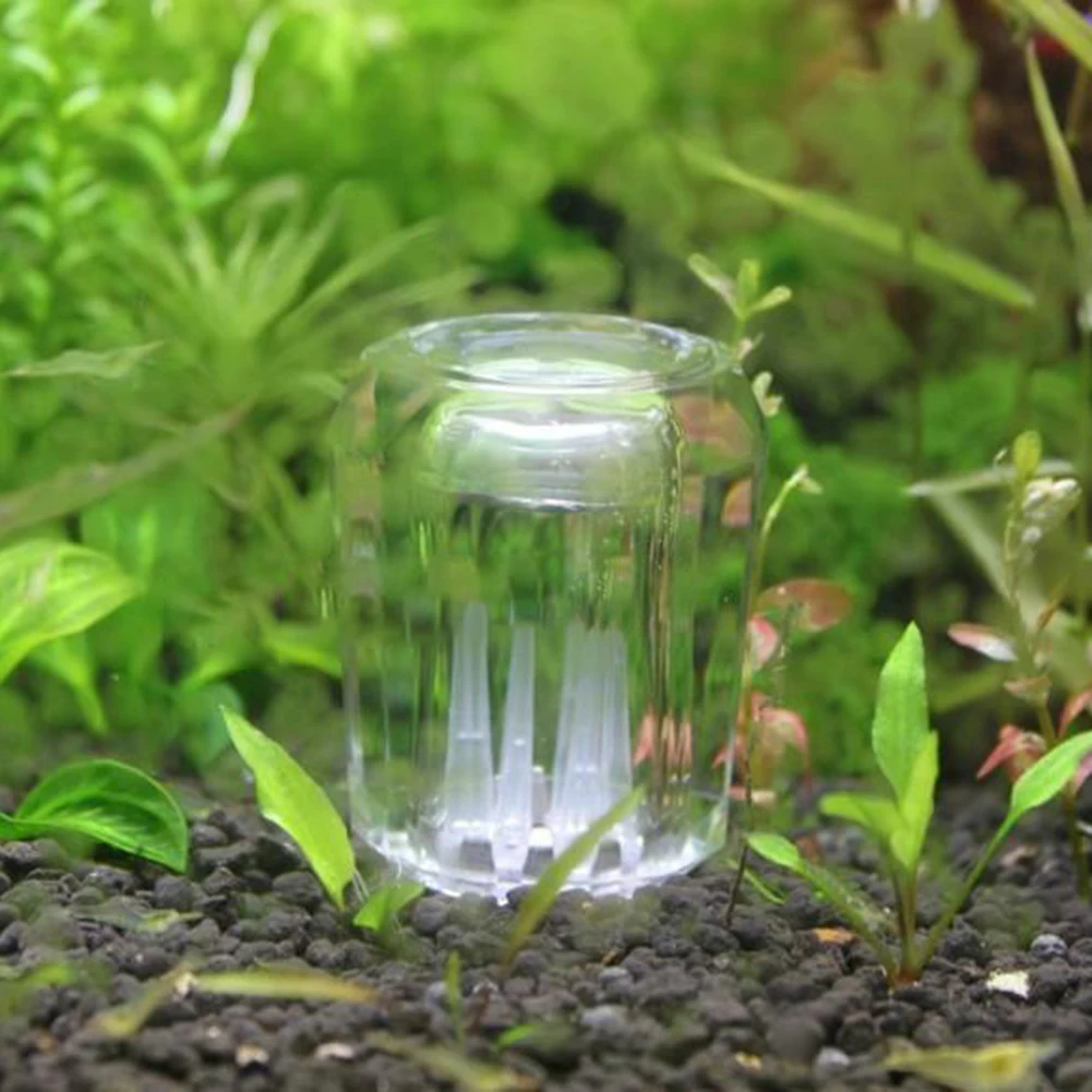 Прозрачная ловушка для пиявок с 8 отверстиями круглая акриловая улитка насекомых