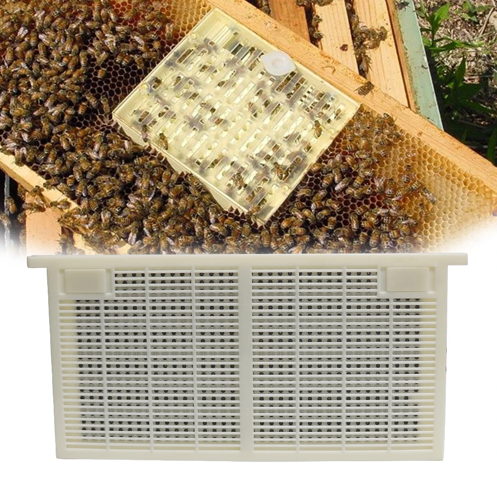 

Queen Bee Rearing System for Producing for Apis mellifera Migratory bee larvae Beekeeping Tools For Beekeeper Supplies