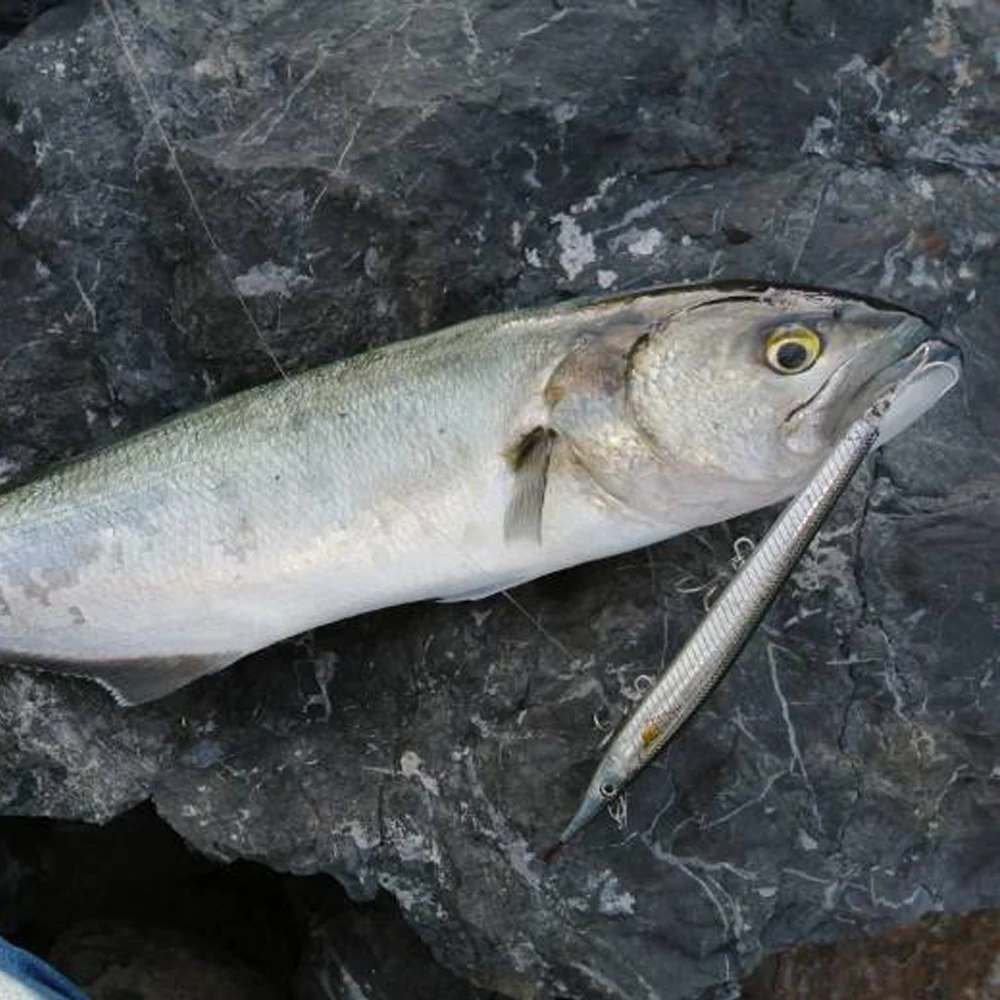 Карандаш Hunthouse leurre stickbait морская жесткая приманка для рыбалки морские окуни 140