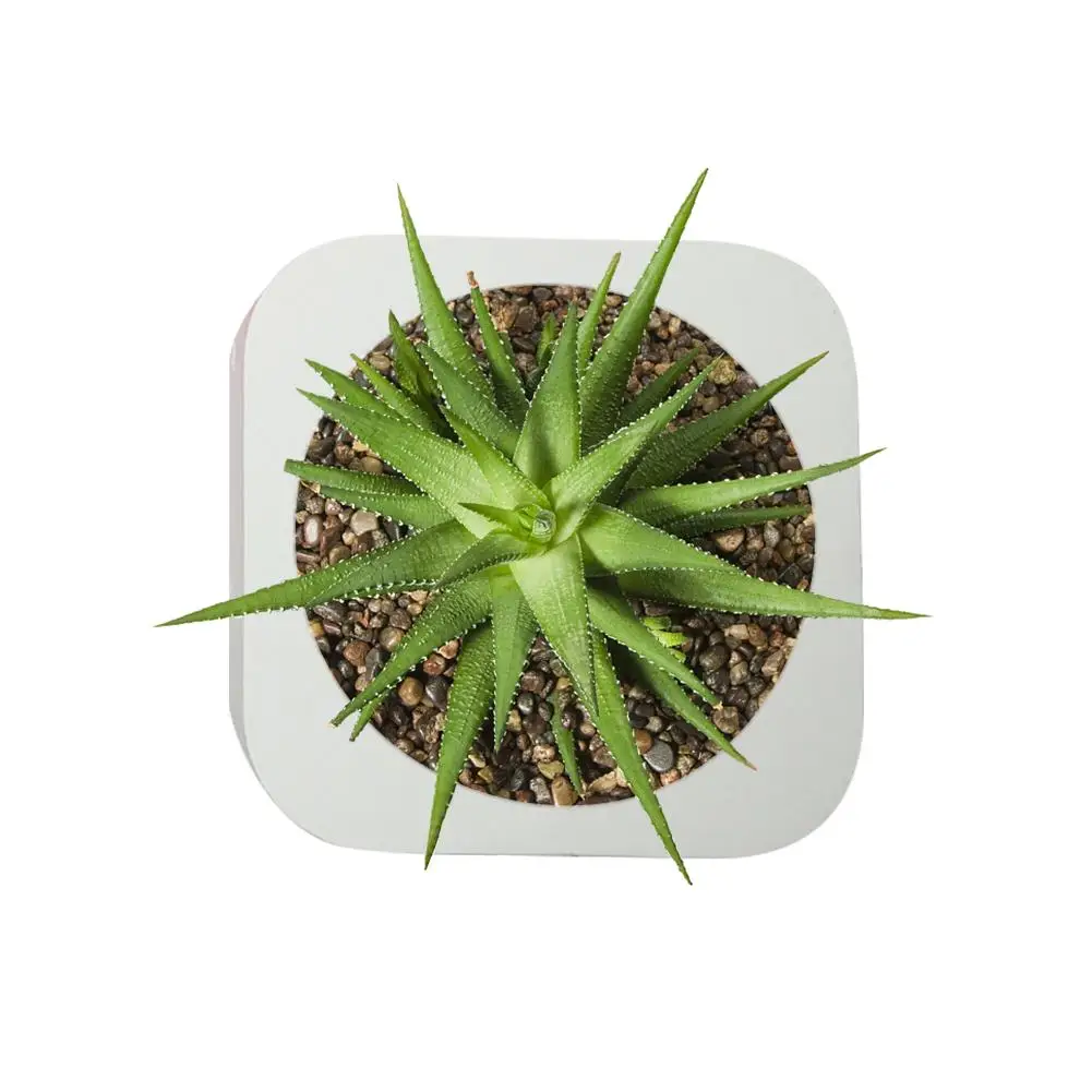 Круглый бетонный цветочный горшков производство Китай круглый цемента горшок