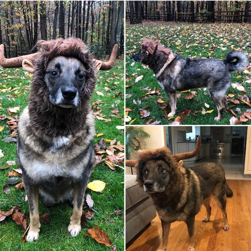 Huisdier Hoorn Hoofddeksels Hond Kat Pruik Cap Hoed Halloween Kerst Kleding Fancy Dress Hoofd Kostuum Huisdier Hoorn Hoofddeksels Hond Kat Pruik Cap Hoed Halloween Kerst Kleding Fancy Dress Hoofd Kostuum
