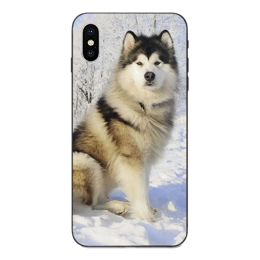 as picture Мягкий чехол для Huawei Honor 5A 6A 6C 7A 7C 7X 8A 8C 8X9 10 P8 P9 P10 P20 P30 Мини Lite Plus самоед милая собака - Цвет: as picture