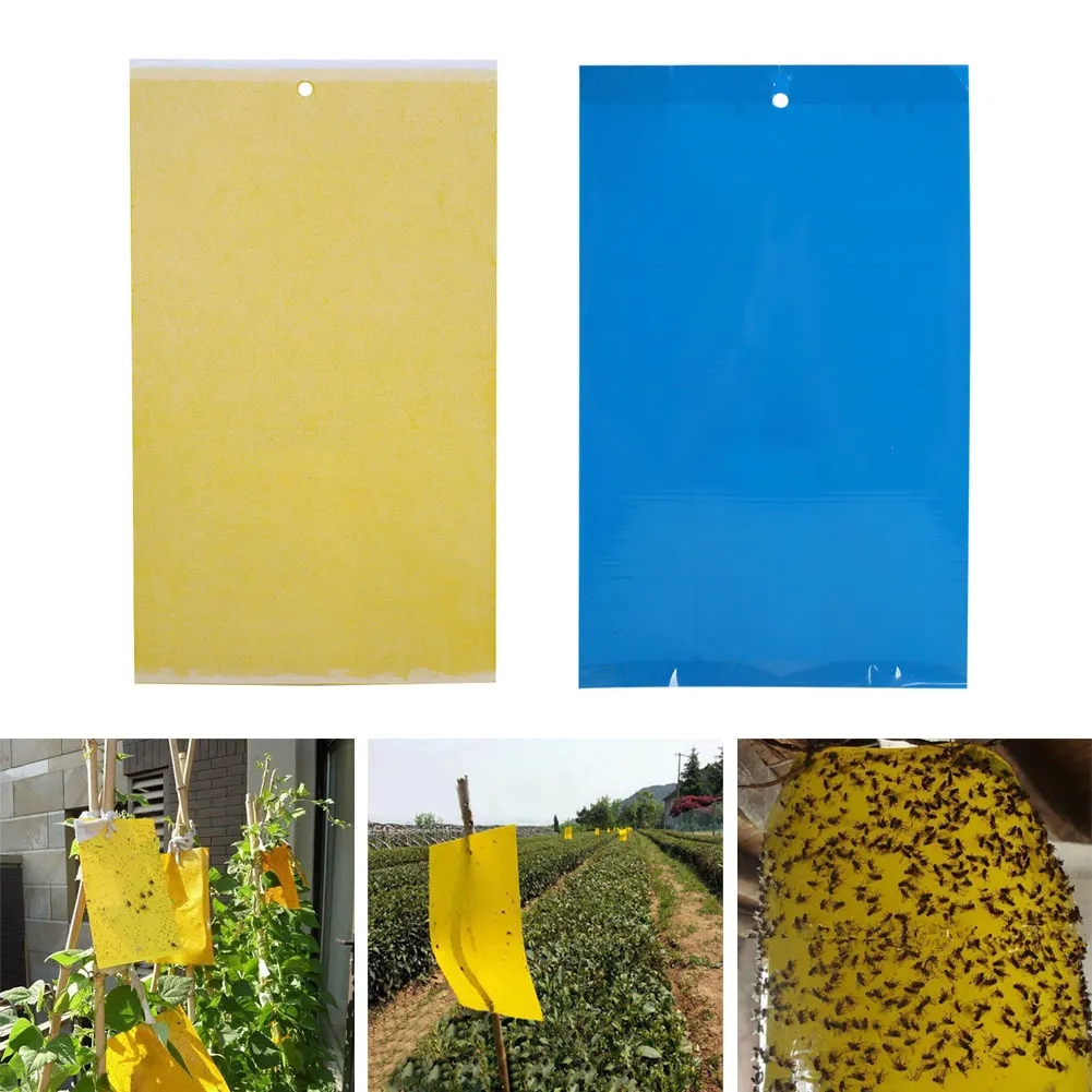 Paper Fly Trap Board Leaf Miners Fungus Gnats Tree Vegetable Garden Flies Traps Hanging Home for OutDoor Insects Killer Aphids | Дом и сад