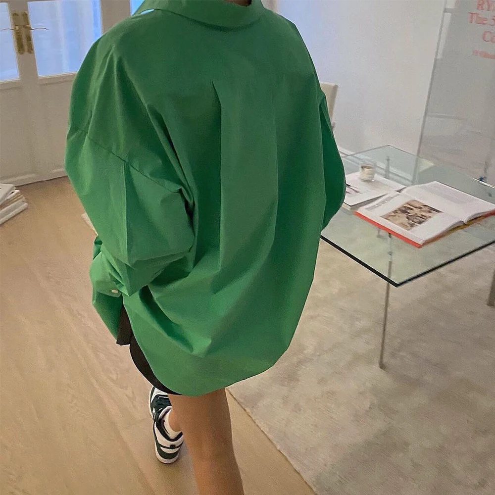 

Fashion Casual Blouse Women Single Breasted Turn-down Collar Shirt Female Tops Loose Lantern Sleeve Basic Shirts Chemise Femme