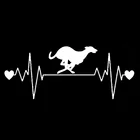 1 шт., 16,5 см * 6,7 см