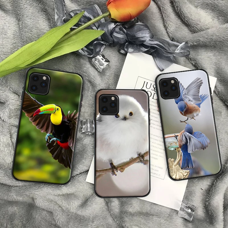 

Cute Animal Bird Rainbow Phone Case For iPhone 11 12 13 Pro Max XS MAX XR X 6s 7 8 Plus SE 2020 Soft Silicone Back Cover Fundas