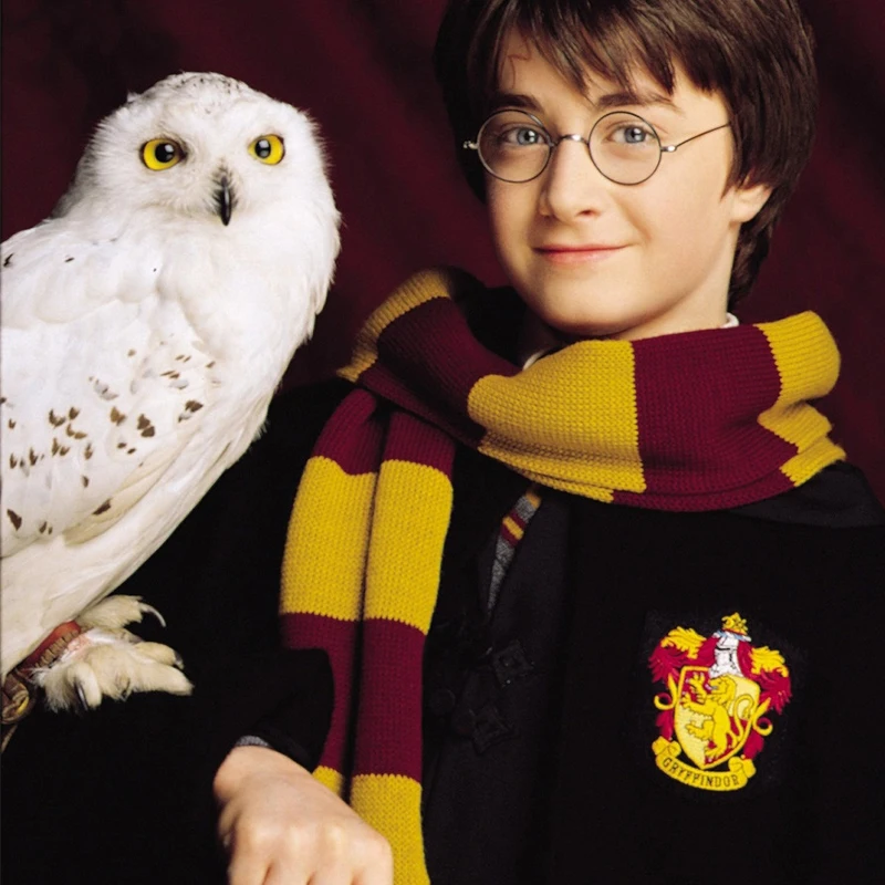 Эмалированная заколка для домашних животных Wizarding World Hedwig милый Волшебный