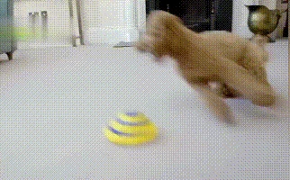 Мягкий и безопасный игрушечный планер со звуковым диском для домашних