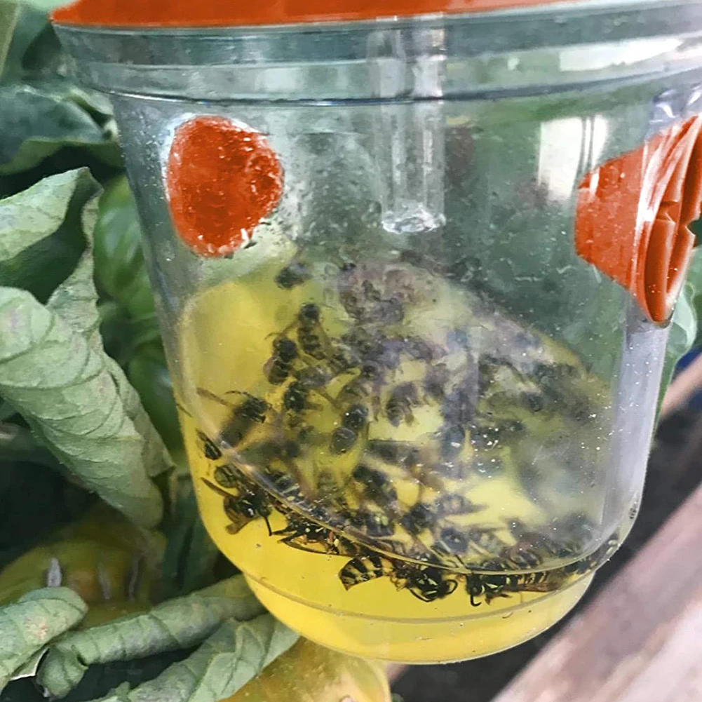 Ловушка для пчел на солнечной батарее использования в саду многоразовая ловушка