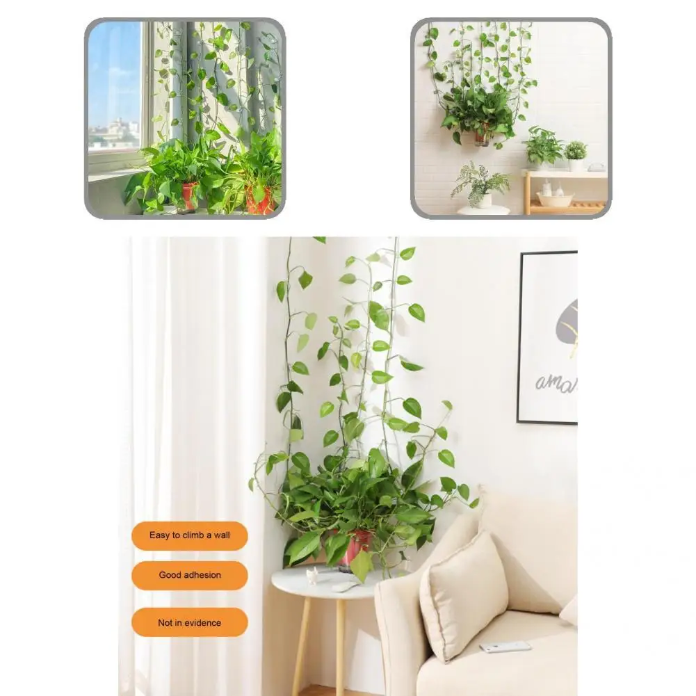 

Wall Mounted 3 Colors Adorable Snail Shape Plant Holder Clip for Hotel