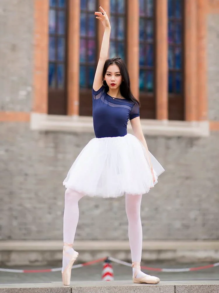 

White Black Pink Swan Lake Ballet Tutu Adult Ballerina Elastic Waist 4 Layers Mesh Tulle Skirts Ball Skirt Tutus Wholesale