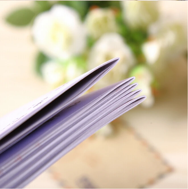 Книга для упражнений Engish детей и малышей Детская Рабочая книга письма pinyin 188 мм *