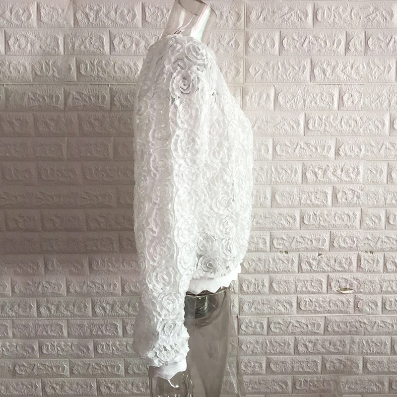 Autumn Winter fashion Short Loose Decals Mesh One-length Collar Long-sleeved Tops Women m9 | Женская одежда