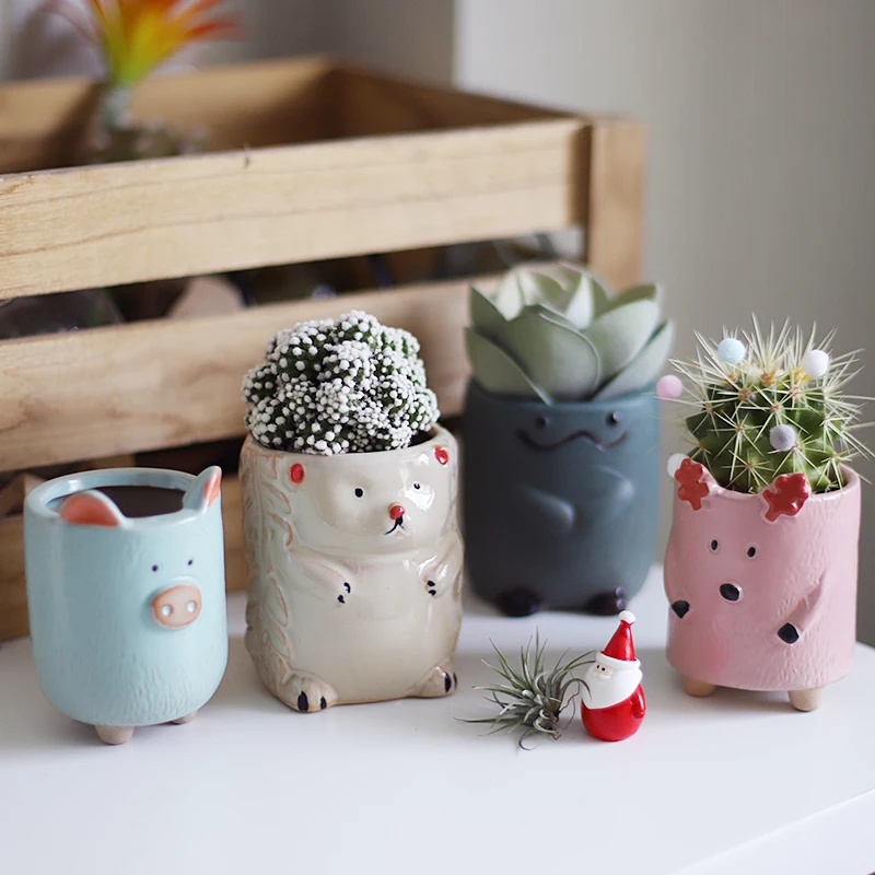 Macetas de cerámica de animales de dibujos animados, accesorios de jardín, Maceteros decorativos kawaii, cerdo, erizo, maceta suculenta